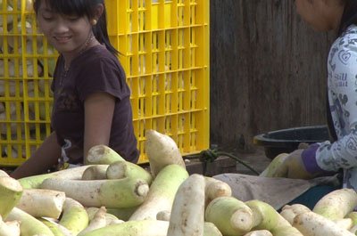 How to Cook with Caifu